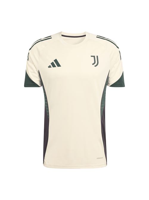 Adidas juventus maglia training europa 25/26 Juventus | JN7472JUV EU TR JSY